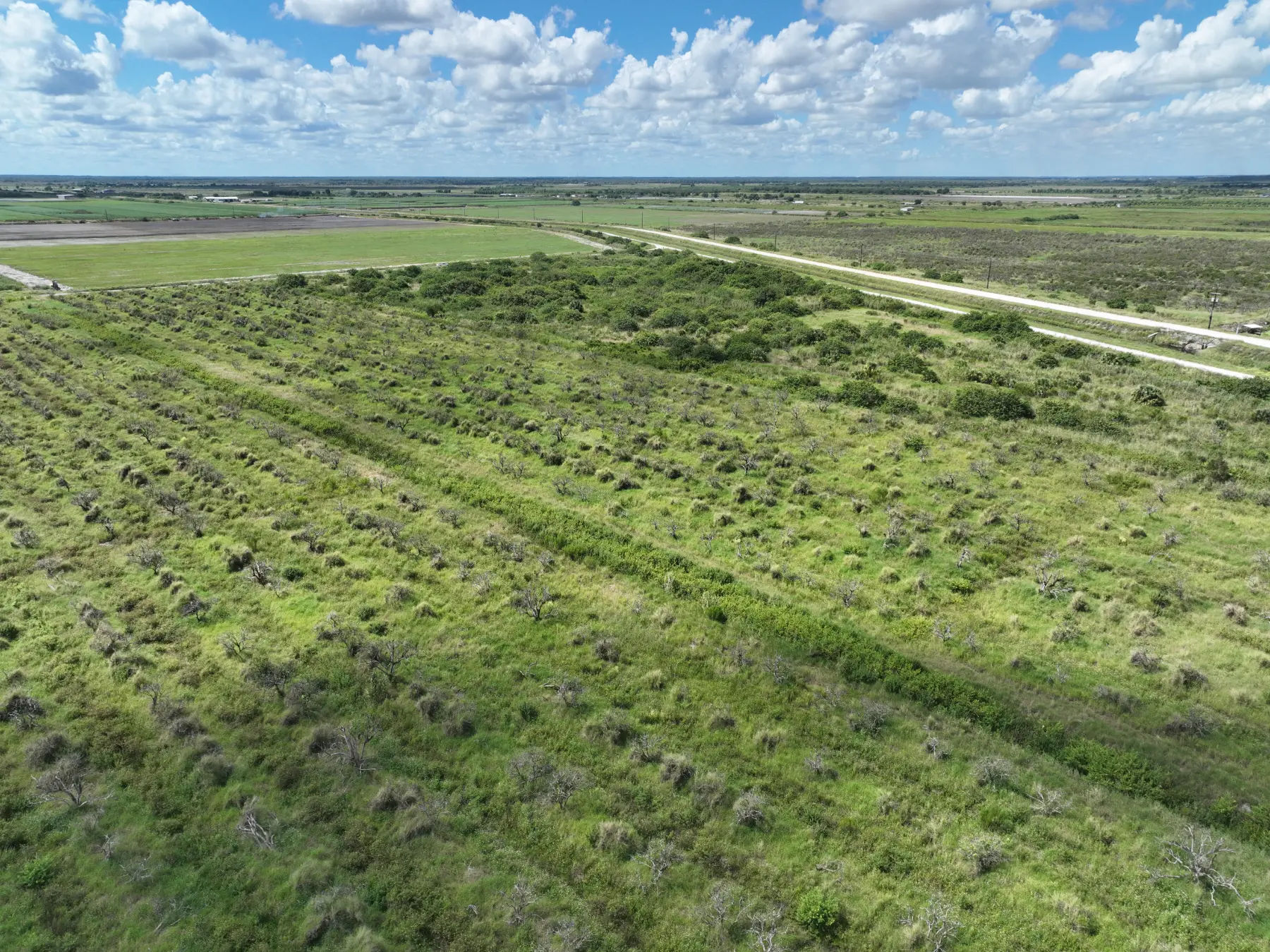 TBD Sears Rd, Labelle, FL, 33935 Cardinal Low Altitud portfolio image