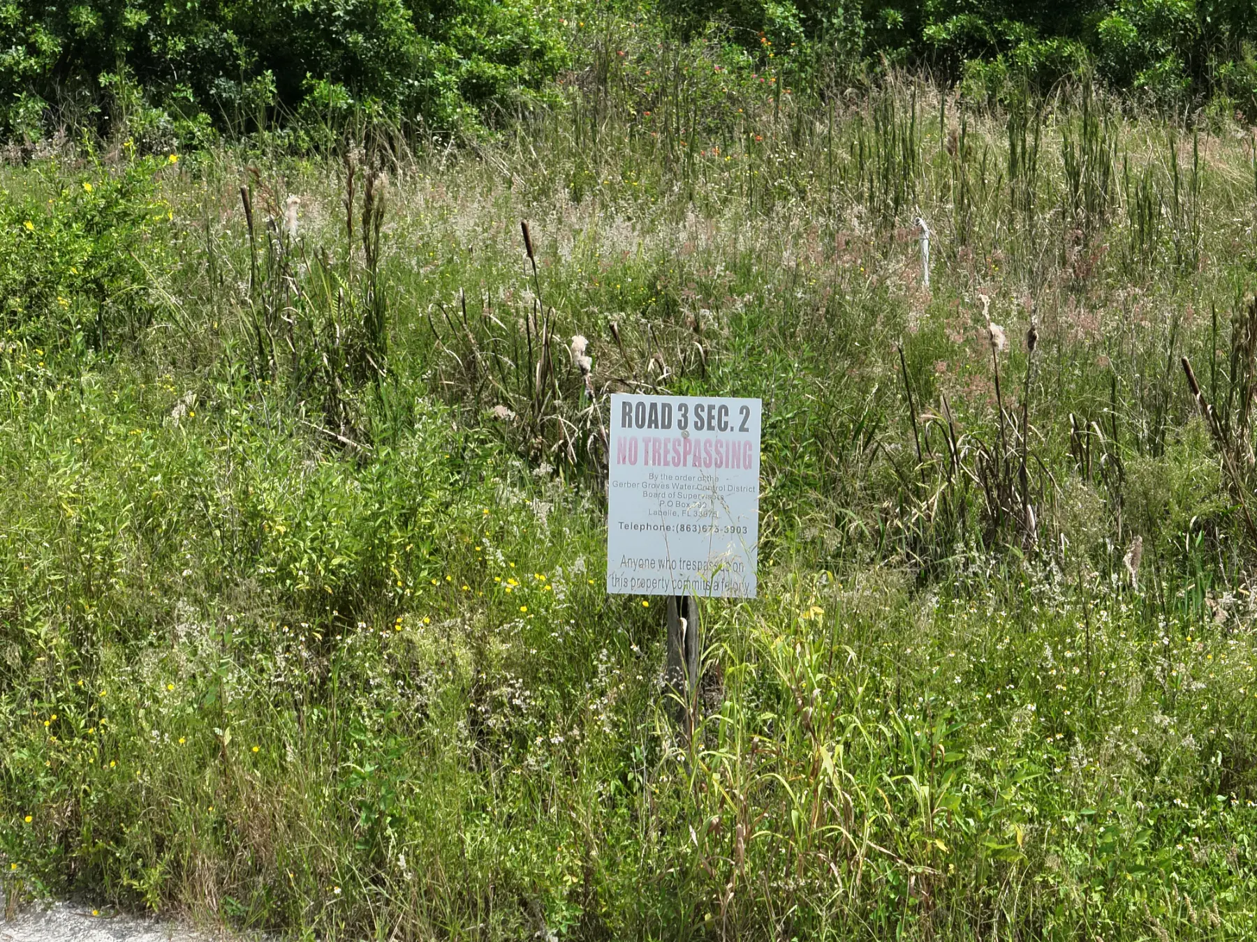 TBD Sears Rd, Labelle, FL, 33935 Ground Level portfolio image